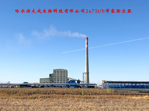 哈尔滨大成生物科技有限公司2x75th布袋除尘器)