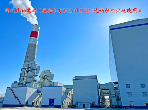 国投生物能源(海伦)有限公司3X130吨锅炉除尘脱硫项目