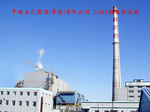 中粮生化能源(肇东)有限公司 2x80t静电除尘器